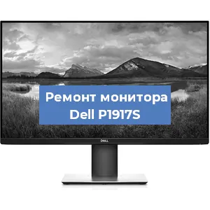 Замена матрицы на мониторе Dell P1917S в Нижнем Новгороде